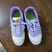 کفش|کیف، کفش، کمربند|گلبهار, شهر جدید گلبهار|دیوار