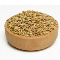 فروش جو به قیمت عالی