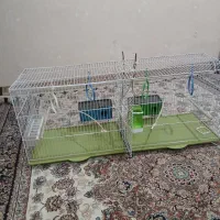 قفس پرون سالم سالم