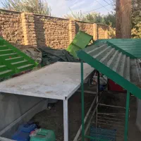 پالت میوه فروشی|فروشگاه و مغازه|گرمسار, |دیوار