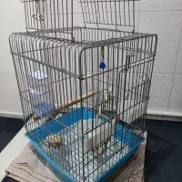 قفس پرنده|لوازم جانبی حیوانات|تهران, جوادیه|دیوار