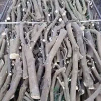 خریدار نقدی  چوب مرکبات  هستیم