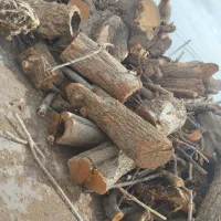 خرید انواع چوب|خدمات پیشه و مهارت|قوچان, |دیوار