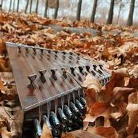 آموزش سنتور