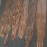 مرکز فروش و خرید موی طبیعی