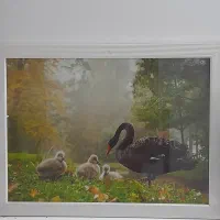 یک عدد تابلو