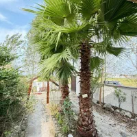 ویلا همکف نقلی خواص/مبله کامل/فروش فوری|فروش خانه و ویلا|چمستان, |دیوار