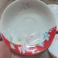 نعلبکی ژاپن