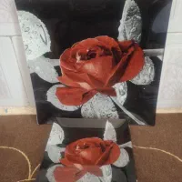 انواع ظرف