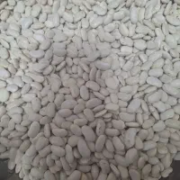 لوبیا ارتشی