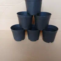 گلدان پلاستیکی ، گلدان زینتی گلپونه|عمده‌فروشی|چابکسر, |دیوار