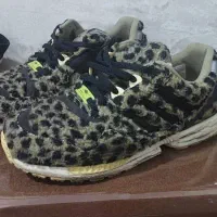 کتونی تدی اورجینال