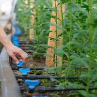 فروش فوق العاده نوار آبیاری (تیپ)