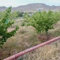 باغ به متراژ 1640متر حصار کشیده شده|فروش خانه و ویلا|صوفیان, |دیوار