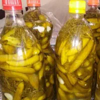 خیارشور همدان درجه یک