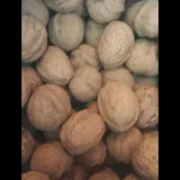 فروش گردو
