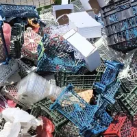 سبد پلاستیکی موزی و کارتن ضایعات|خدمات پیشه و مهارت|تهران, شهرک ابوذر|دیوار