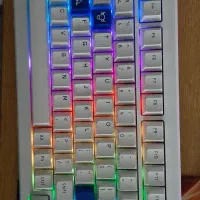 موس و کیبورد و روتر|قطعات و لوازم جانبی رایانه|ملارد, |دیوار