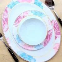 سرویس اوپال وپذیرایی