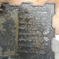 سم پاشی تضمینی تحت نظر دکتری حشره شناسی، مجوز رسمی|خدمات نظافت|کرمانشاه, |دیوار