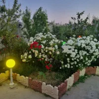 خونه-باغ-ویلایی