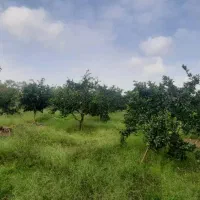 ویلا باغ ۲۰۰۰ متری /سند و جواز ساخت/یه ربع تا ساحل