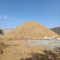 خاک استخر مزرعه شیخ برا کف مسنی