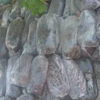 خریدار ضایعات خرما( عمده فقط)|خدمات باغبانی و درختکاری|سعدآباد, |دیوار