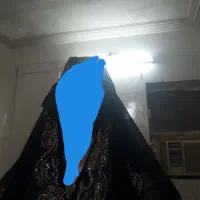 عباوشال حریر|لباس|اهواز, شریعتی جنوبی|دیوار