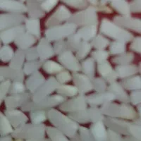 برنج لاشه دم سیاه امسالی