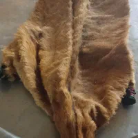 فروش فوری|صنایع دستی و سایر لوازم تزئینی|لردگان, |دیوار