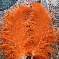 پر علامت آفریقایی|کلکسیون اشیاء عتیقه|تهران, امام حسین|دیوار