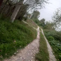 زمین ۴۵۵ متری طلا در قلب سنگر|فروش زمین و ملک کلنگی|رشت, آب و برق|دیوار