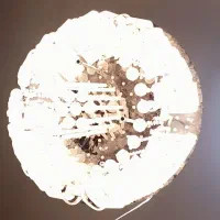 لوستر گرد|لوستر و چراغ آویز|مشهد, عیدگاه|دیوار