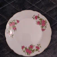 چینی گل سرخی پلوخوری خورشت خوری نو نو|ظروف سرو و پذیرایی|اصفهان, تخت فولاد|دیوار