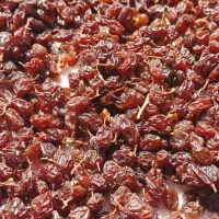 کشمش افتابی از نوع مویز