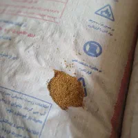 بذر