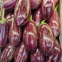 نیازمند نیرو کار  برای فروش آنلاین میوه