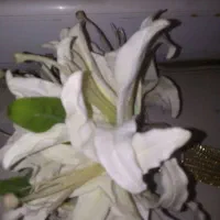 خط تلفن ثابت