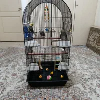 سه عدد عروس هلندی