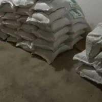 برنج چمپا|خوردنی و آشامیدنی|لردگان, |دیوار