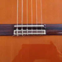 گیتارالحمبرا4f|گیتار، بیس، امپلیفایر|مشهد, حجاب (شهرک غرب)|دیوار