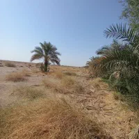 متور آب|اجارهٔ دفتر صنعتی، کشاورزی، تجاری|کلاتان, |دیوار