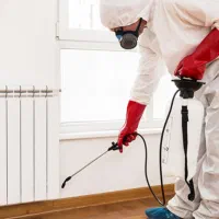 سم پاشی منازل هتهابرای کک ساس سوسک شپش حشرات موزی