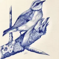 سفارش نقاشی چهره مداد رنگ - سیاه قلم - خودکار|تابلو، نقاشی، عکس|شیراز, معالی‌آباد|دیوار