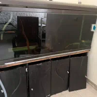 آکواریوم شرکتی