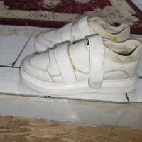 سه جفت کفش سالم و تمیز|کیف، کفش، کمربند|بندرعباس, |دیوار