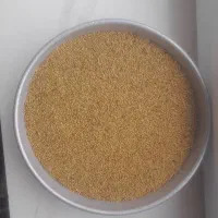 تخم ینجه بذر ینجه