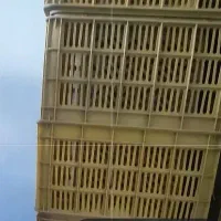 سبد گوجه