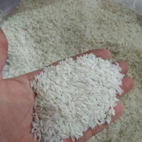 برنج هاشمی‌اعلا|خوردنی و آشامیدنی|کلاچای, |دیوار